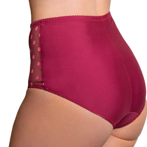 Fit Fully Yours - Carmen Polka-Dot High Rise Brief - More Colors Supply