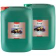 CANNA COCO A&B on Sale