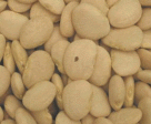 Lima Beans (baby), 5 lbs. by Bulk Cheap