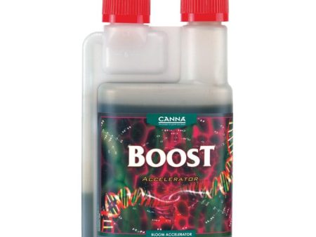 CANNABOOST Accelerator Hot on Sale