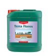 CANNA TERRA Flores Hot on Sale