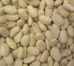 Great Northern Beans, Organic, 5 lbs. by Azure Farm Online Hot Sale