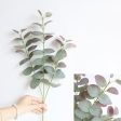 Silk Eucalyptus Stem Sale