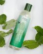 Peppermint Tea Tree Clarifying Shampoo Hot on Sale