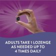 Nature s Way, Sambucus Elderberry, Zinc Lozenges, Original Elderberry, 24 Lozenges For Discount