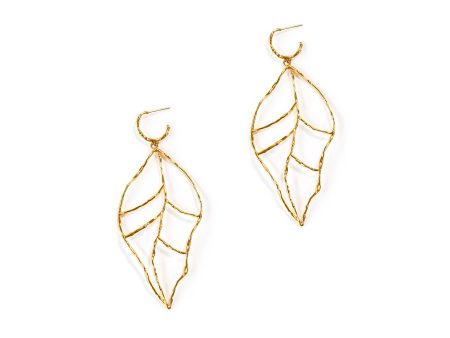 Leaf of Learning Earrings - Gold Discount