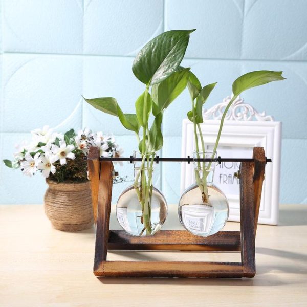 Anneke Hydroponic Pendulum Vase Online Hot Sale