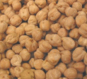 Garbanzos (chick peas), 5 lbs. by Cheap