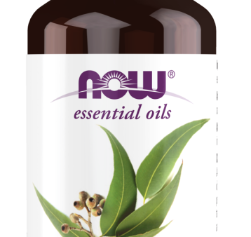 NOW Eucalyptus Globulus Oil 100% Pure  1 fl. oz. on Sale