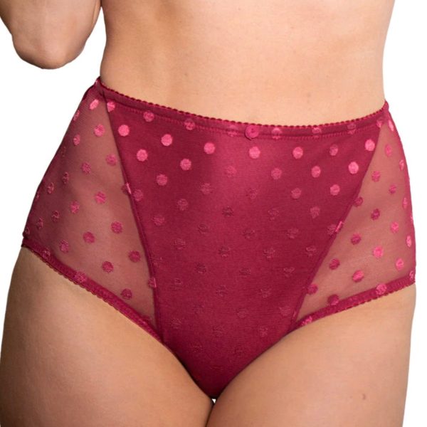 Fit Fully Yours - Carmen Polka-Dot High Rise Brief - More Colors Supply