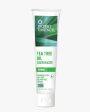 DESERT ESSENCE TEA TREE OIL TOOTHPASTE- FENNEL 176G Online Hot Sale