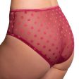 Fit Fully Yours - Carmen Polka-Dot Bikini Brief - More Colors Discount