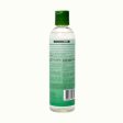 Peppermint Tea Tree Clarifying Shampoo Hot on Sale