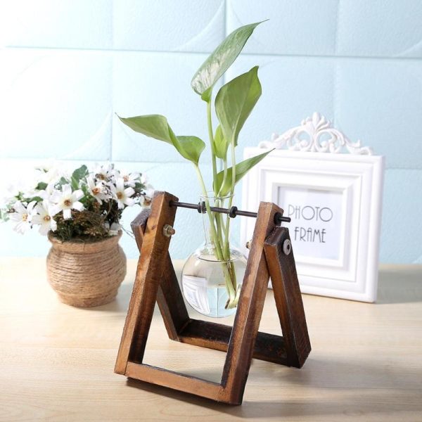 Anneke Hydroponic Pendulum Vase Online Hot Sale