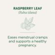 Traditional Medicinals Organic Raspberry Leaf 24G Sale