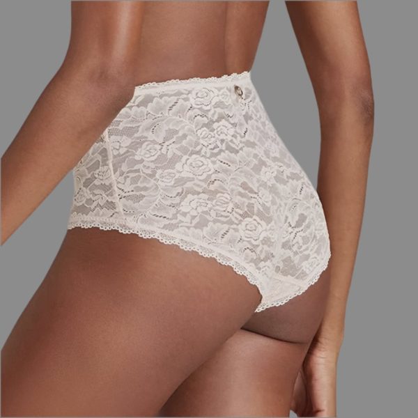 Aubade - Rosessence High Waist Brief - Nude For Sale