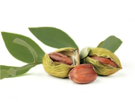 Seasonal Specials: Jojoba Silk 3-Pack Online