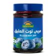 Natureland Blueberry Jam 200 G For Sale