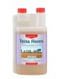 CANNA TERRA Flores Hot on Sale