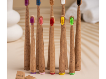 ECO2 - Biodegradable Bamboo Adult Toothbrush For Discount