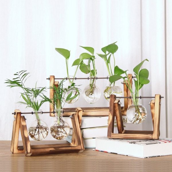 Anneke Hydroponic Pendulum Vase Online Hot Sale