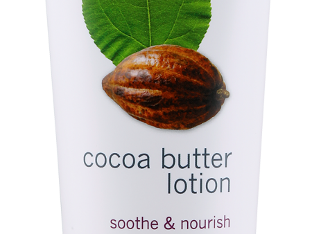 Cocoa Butter Lotion 8 fl oz Supply