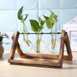 Anneke Hydroponic Pendulum Vase Online Hot Sale