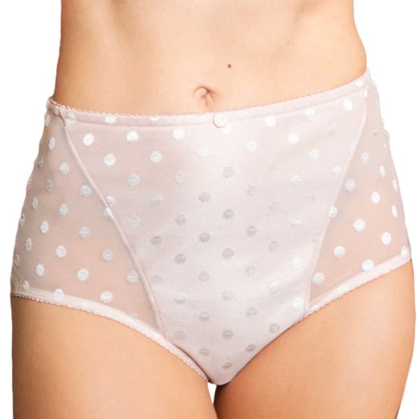 Fit Fully Yours - Carmen Polka-Dot High Rise Brief - More Colors Supply