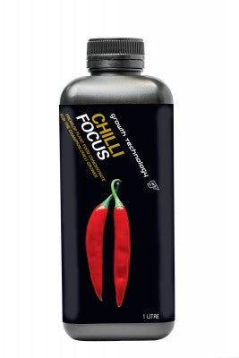 GT CHILLI FOCUS For Discount