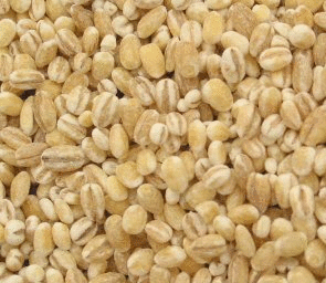 Barley, Pearl, 5 lbs. by Bulk Discount