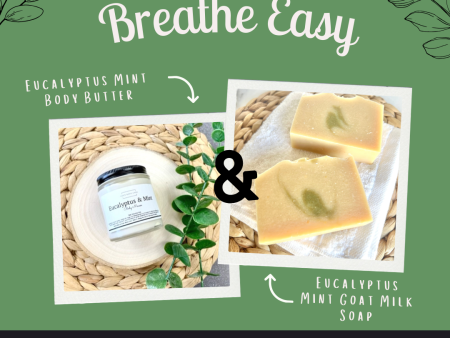 Breathe Easy Bundle Fashion