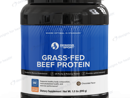 Beef Protein Chocolate s Hot on Sale