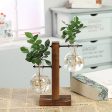 Eryka Hydroponic Standing Vase Cheap