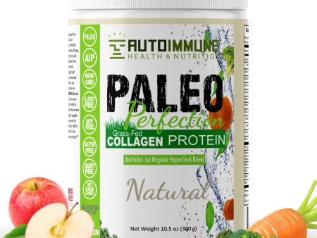 Autoimmune H&N    Paleo Perfection Natural Protein Powder 16 oz For Cheap