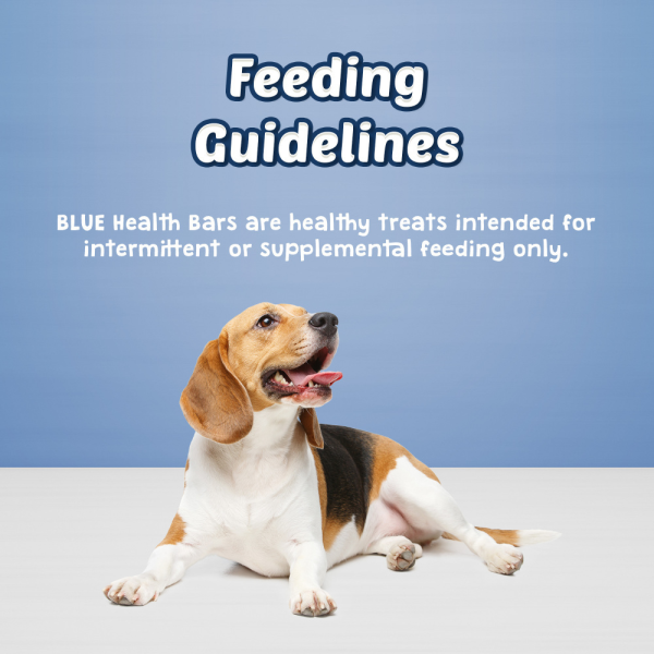 Blue Health Bars Baked With Pumpkin & Cinnamon Dog Treats Online now