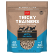 Cloud Star Tricky Trainers Crunchy Salmon Dog Treats Online now